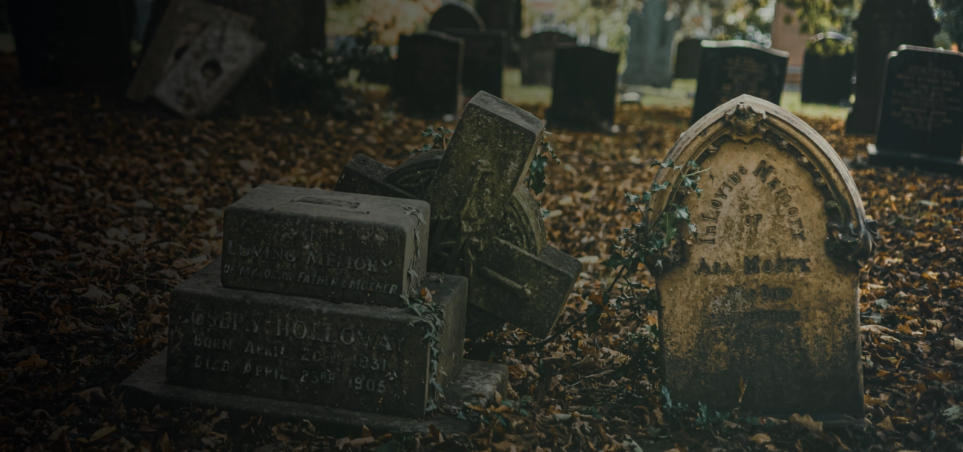 Baner firmy Lorentis 